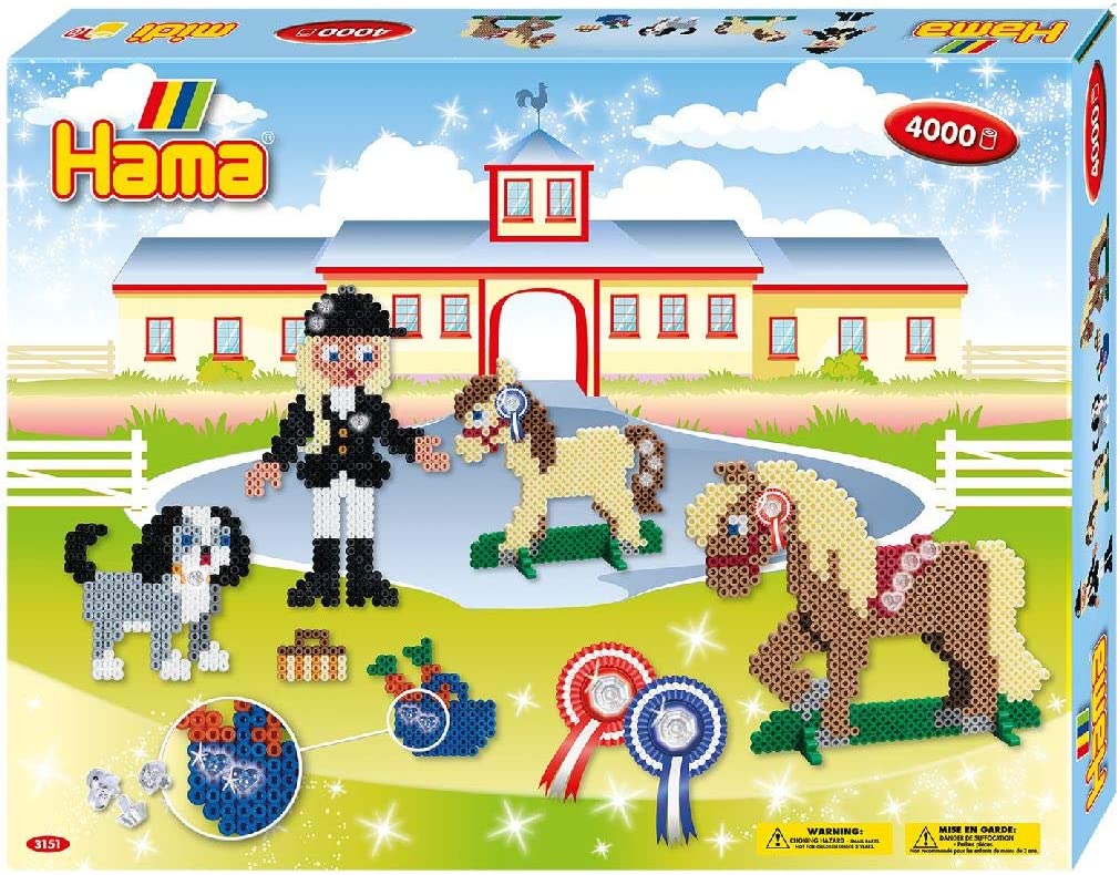 HAMA Geschenkpackung Reiterhof