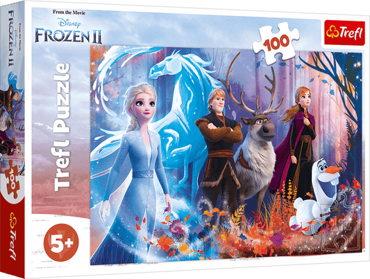 Disney Frozen Puzzle