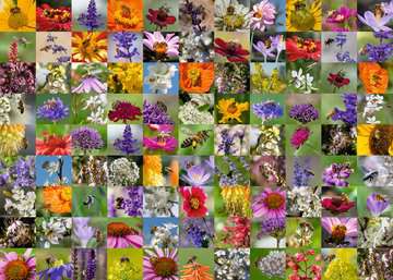 Bienen Puzzle