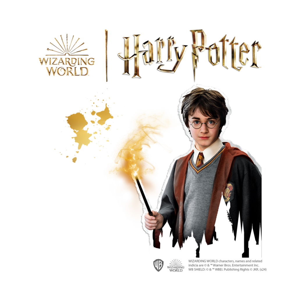 Harry Potter Bügelperlenset Figuren