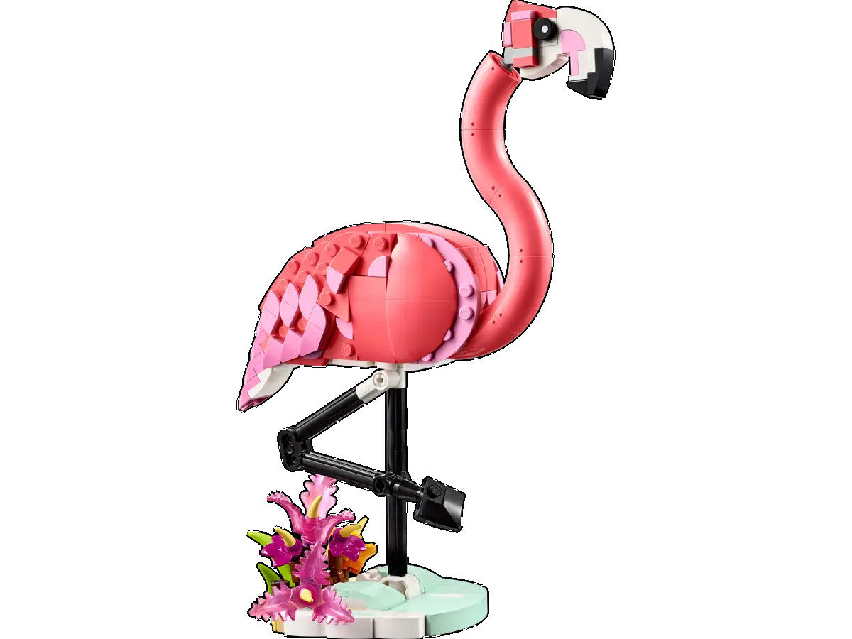 Creator Rosa Flamingo
