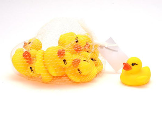 Badeentenset Stk im Netz ca