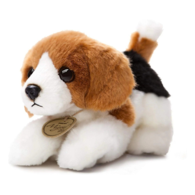 MiYoni_Beagle